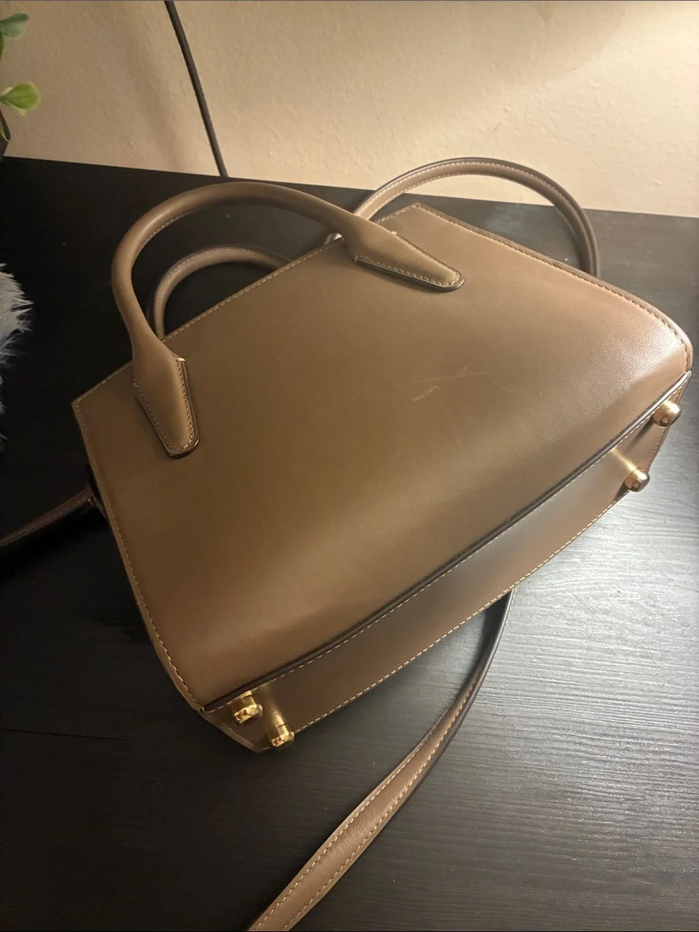 Coach Andrea Carryall Bag